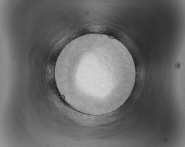 X0000114220043200911201056