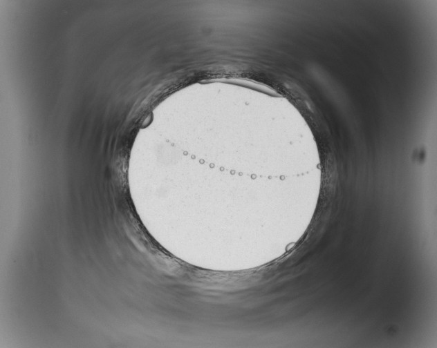 X0000114220045200911201056