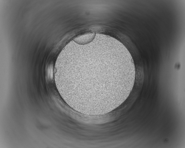 X0000114220046200911201056