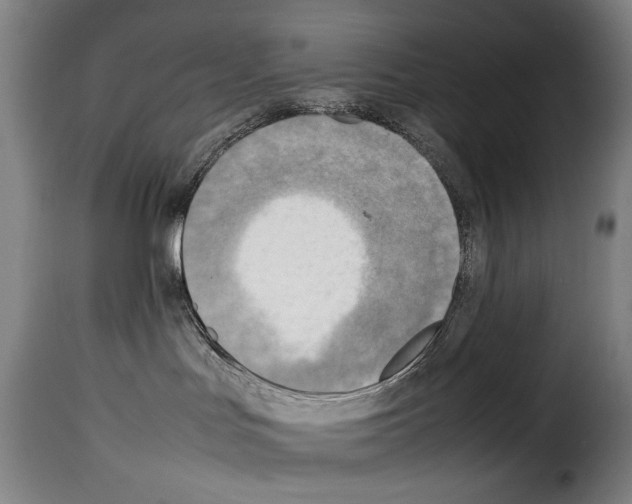 X0000114220047200911201056