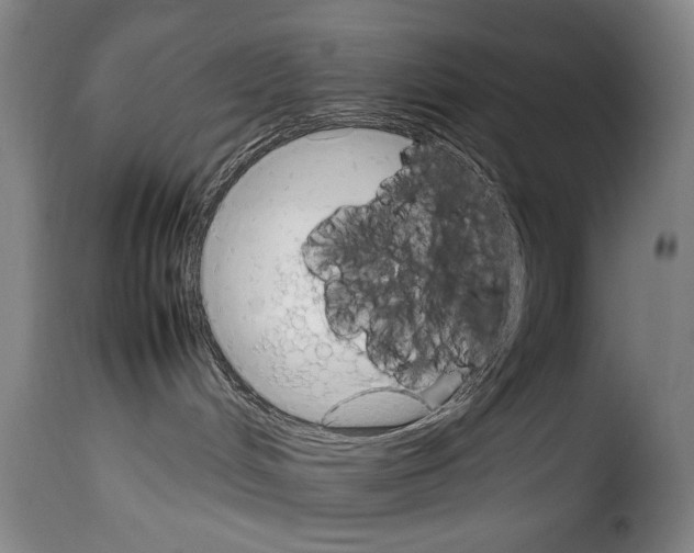 X0000114220048200911201056