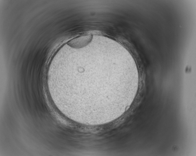 X0000114220049200911201055
