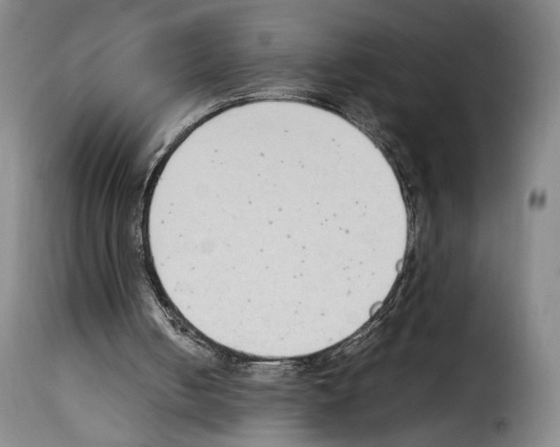 X0000114220050200911201055