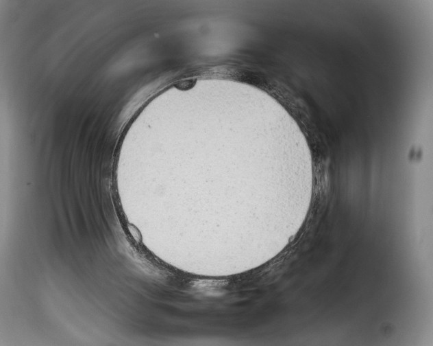 X0000114220051200911201055