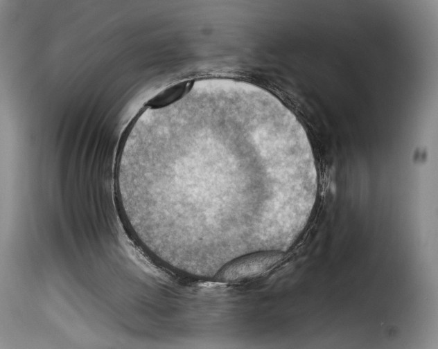 X0000114220052200911201055