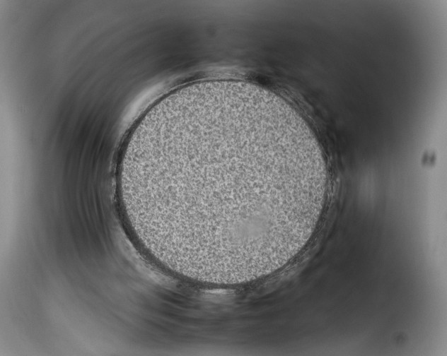 X0000114220053200911201055