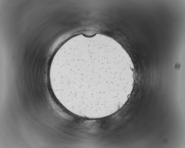 X0000114220054200911201056