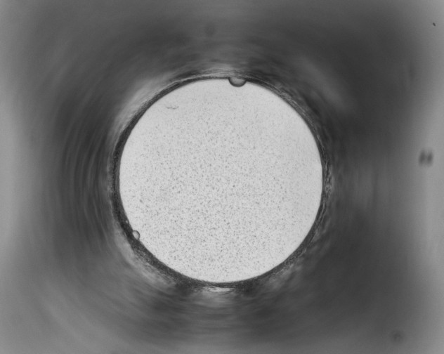 X0000114220055200911201056