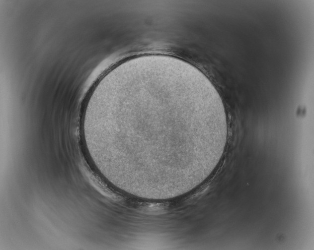 X0000114220056200911201056