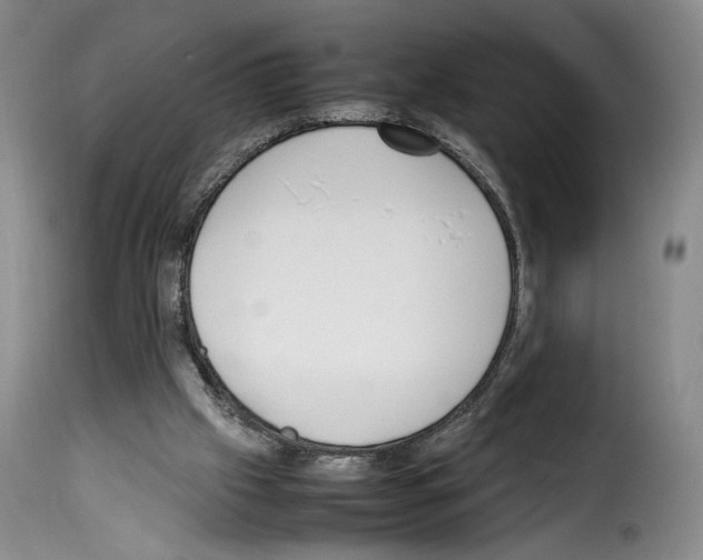 X0000114220057200911201056