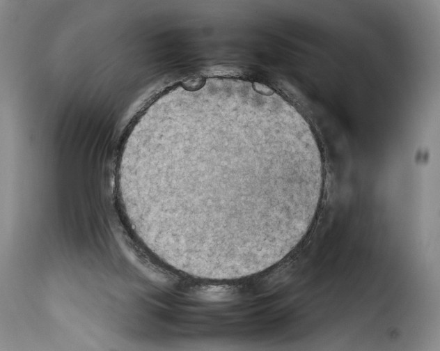 X0000114220059200911201056