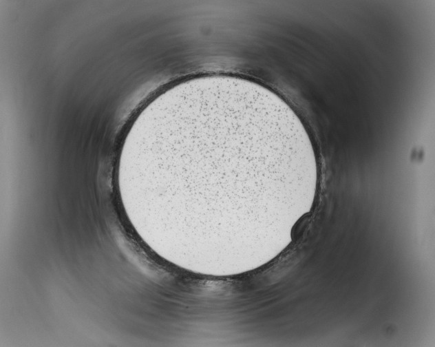 X0000114220060200911201056