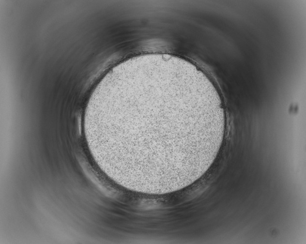 X0000114220061200911201056