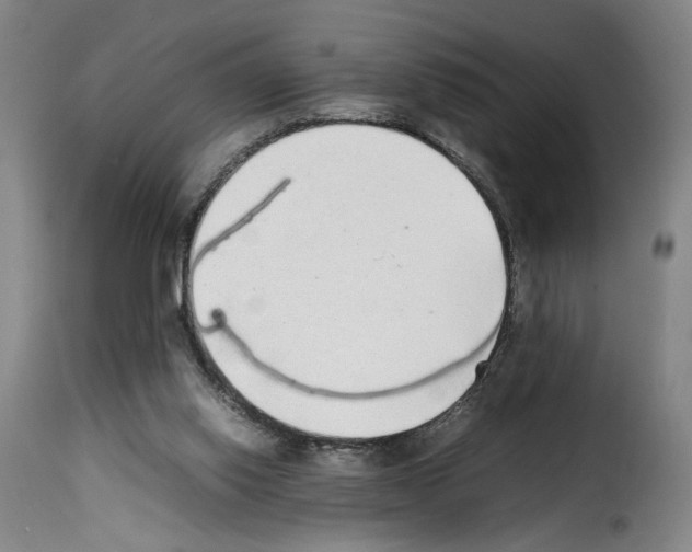 X0000114220062200911201056