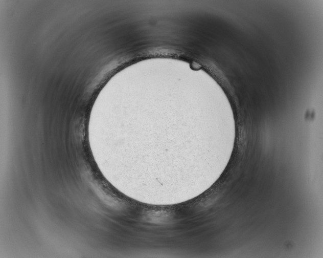 X0000114220063200911201056