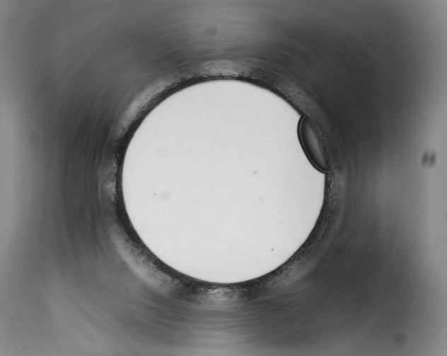 X0000114220064200911201056