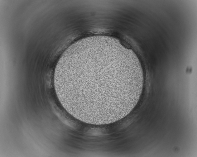 X0000114220065200911201056
