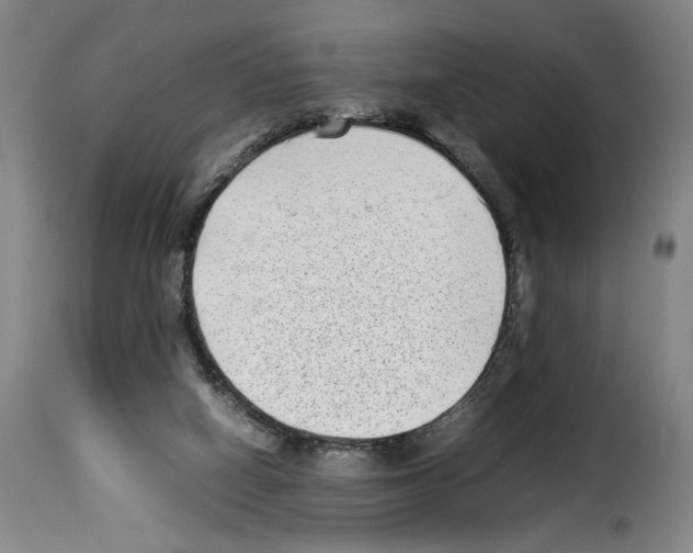 X0000114220066200911201056