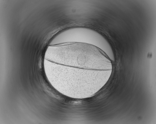X0000114220068200911201056