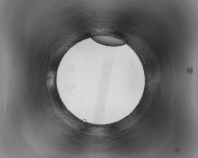 X0000114220075200911201056