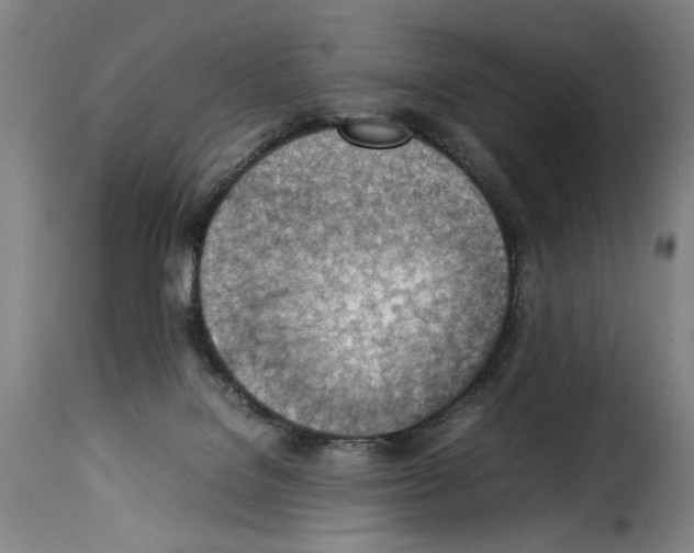 X0000114220076200911201056