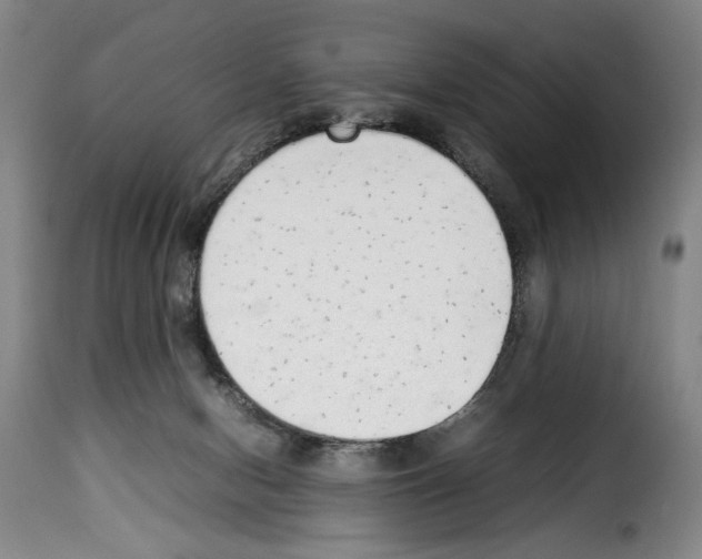 X0000114220078200911201056