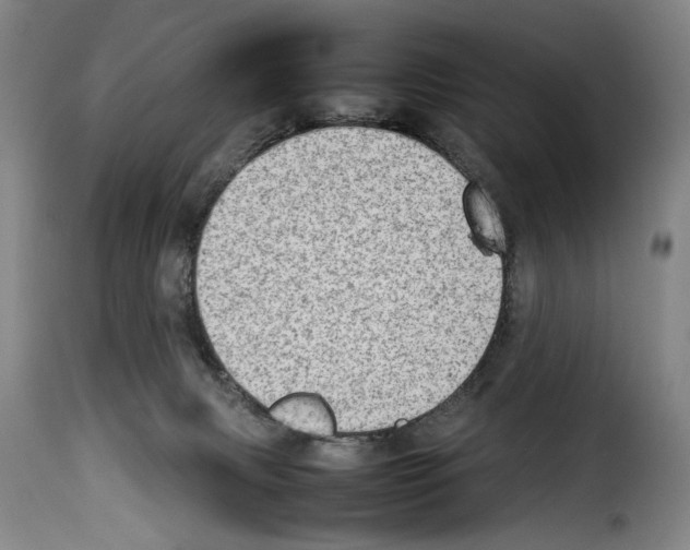 X0000114220079200911201056