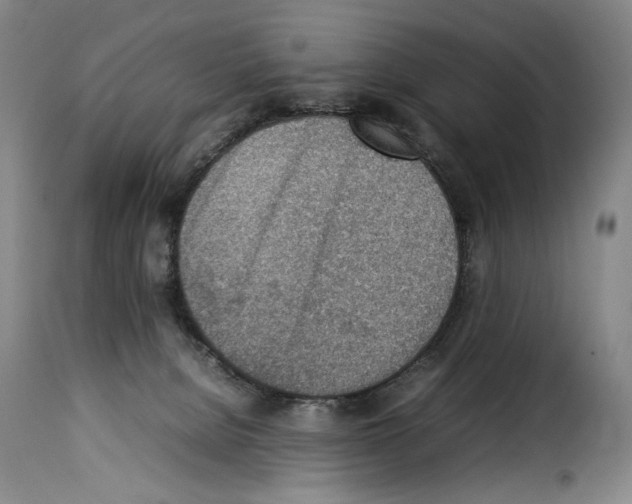 X0000114220080200911201056