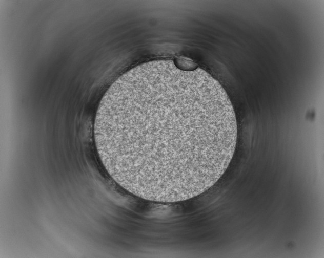 X0000114220083200911201056