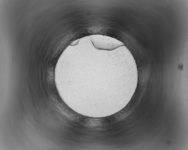 X0000114220085200911201056