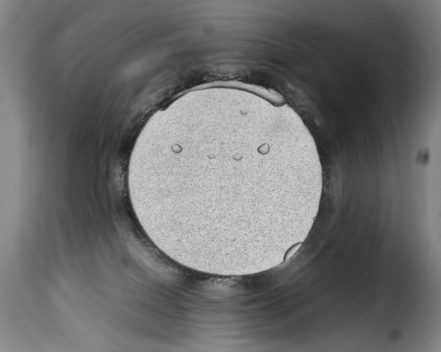X0000114220086200911201056