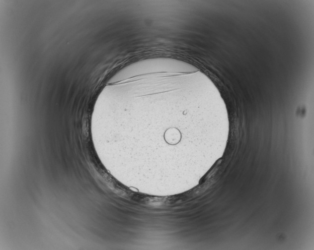 X0000114220088200911201056