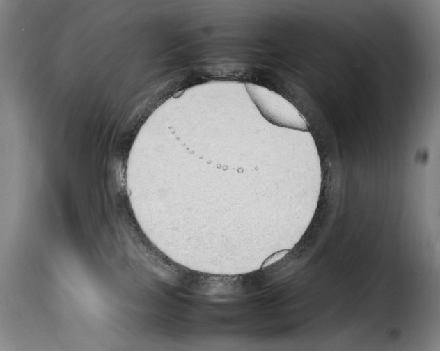 X0000114220089200911201056