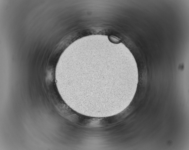 X0000114220090200911201056