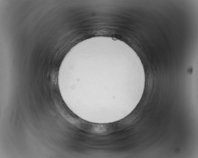 X0000114220091200911201056