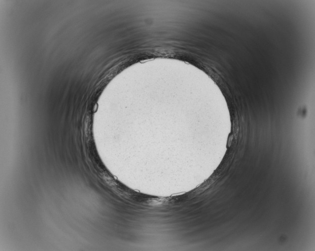 X0000114220092200911201056