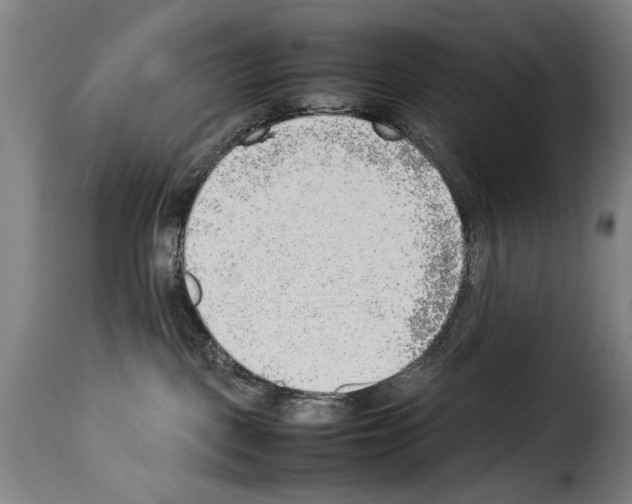 X0000114220093200911201056