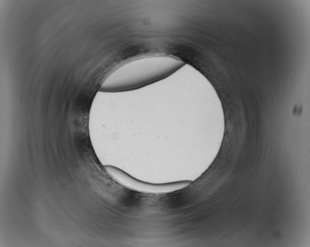 X0000114220096200911201056