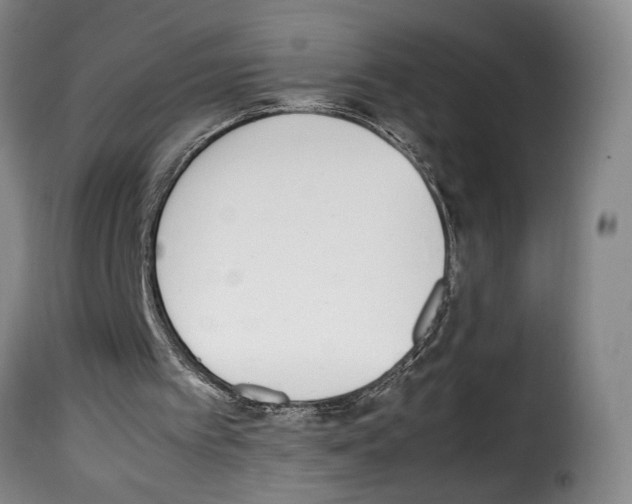X0000114220097200911201055