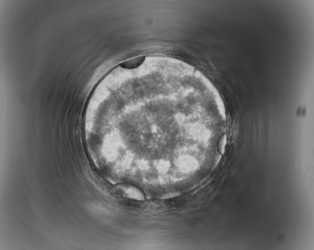 X0000114220099200911201055