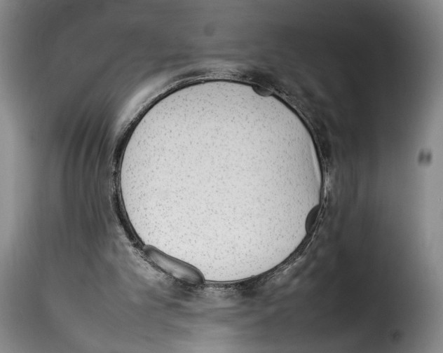 X0000114220101200911201055