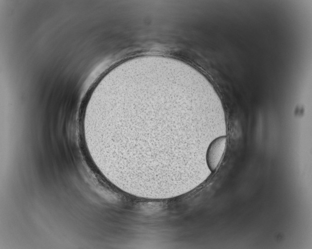 X0000114220102200911201055
