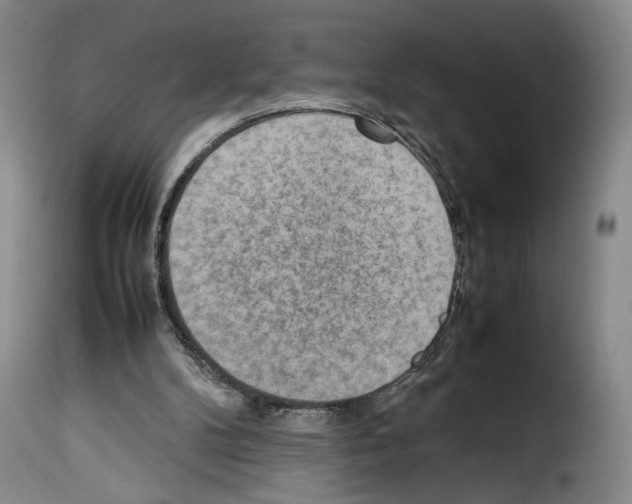 X0000114220104200911201055