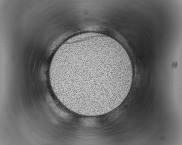 X0000114220106200911201055