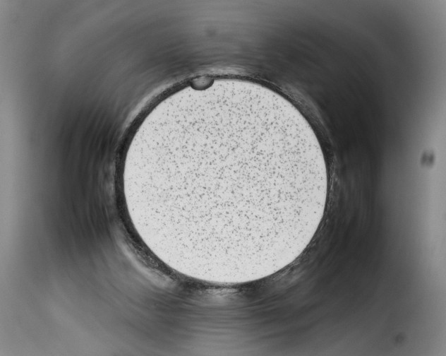 X0000114220108200911201055