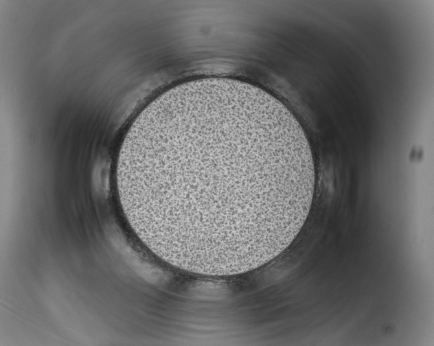 X0000114220110200911201055