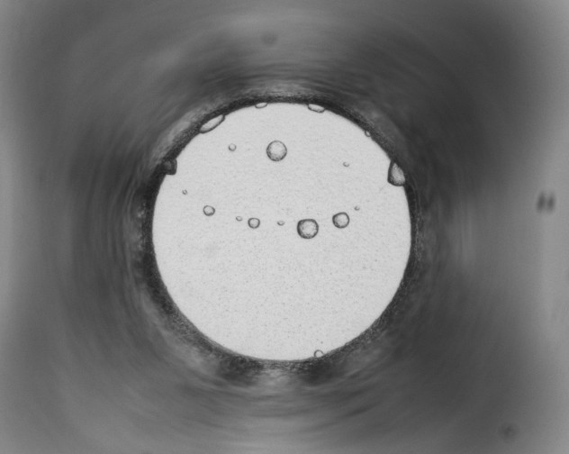 X0000114220111200911201055