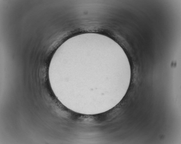 X0000114220113200911201055