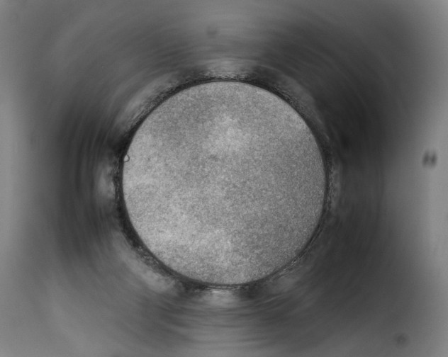 X0000114220114200911201055