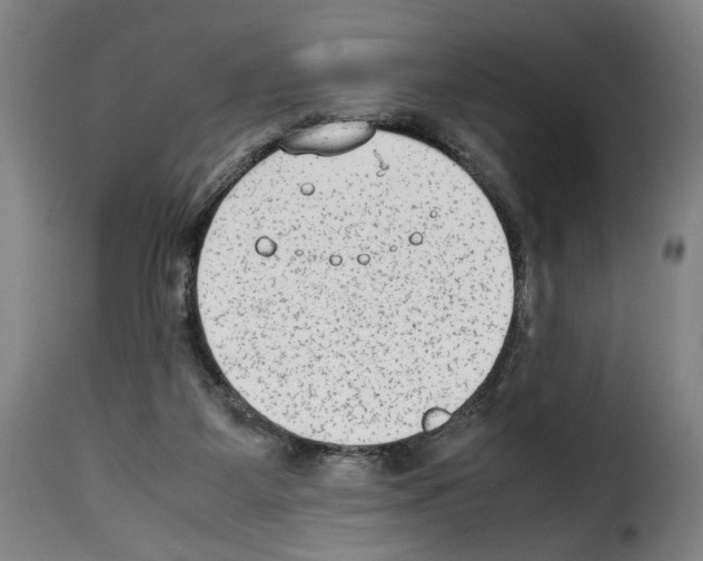 X0000114220115200911201055